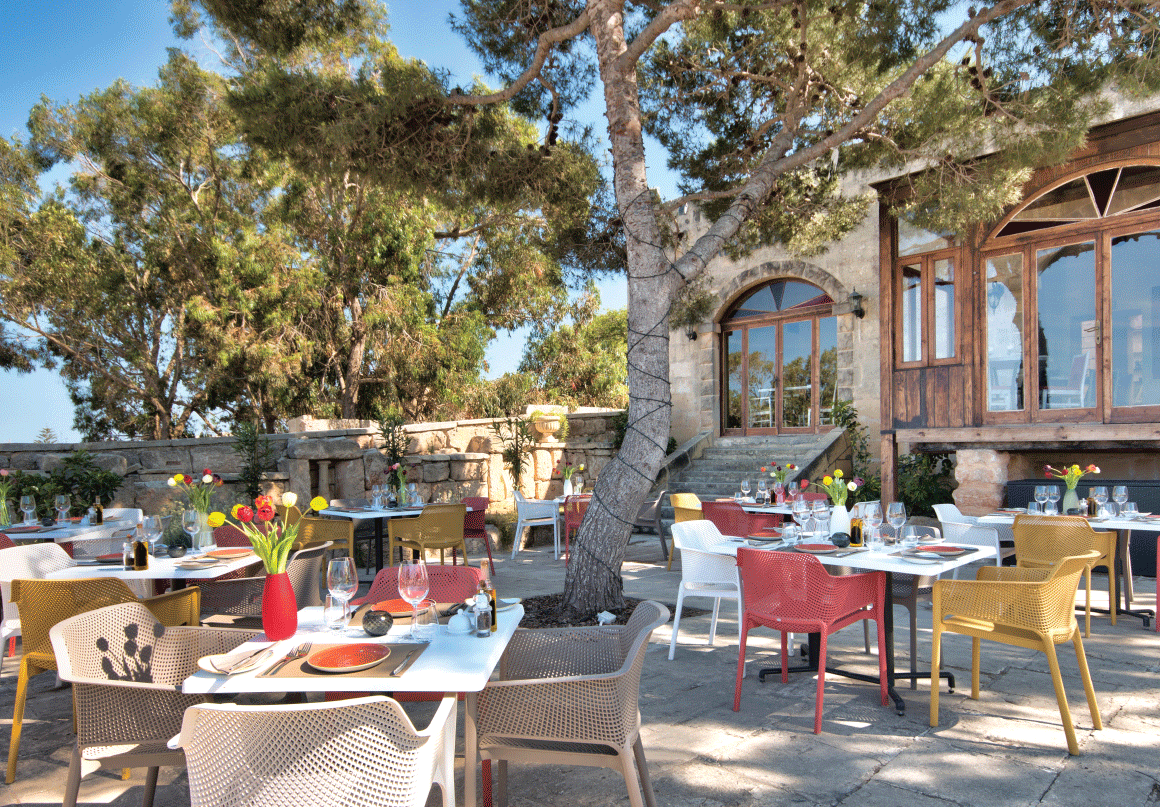 Madliena Lodge photo 13