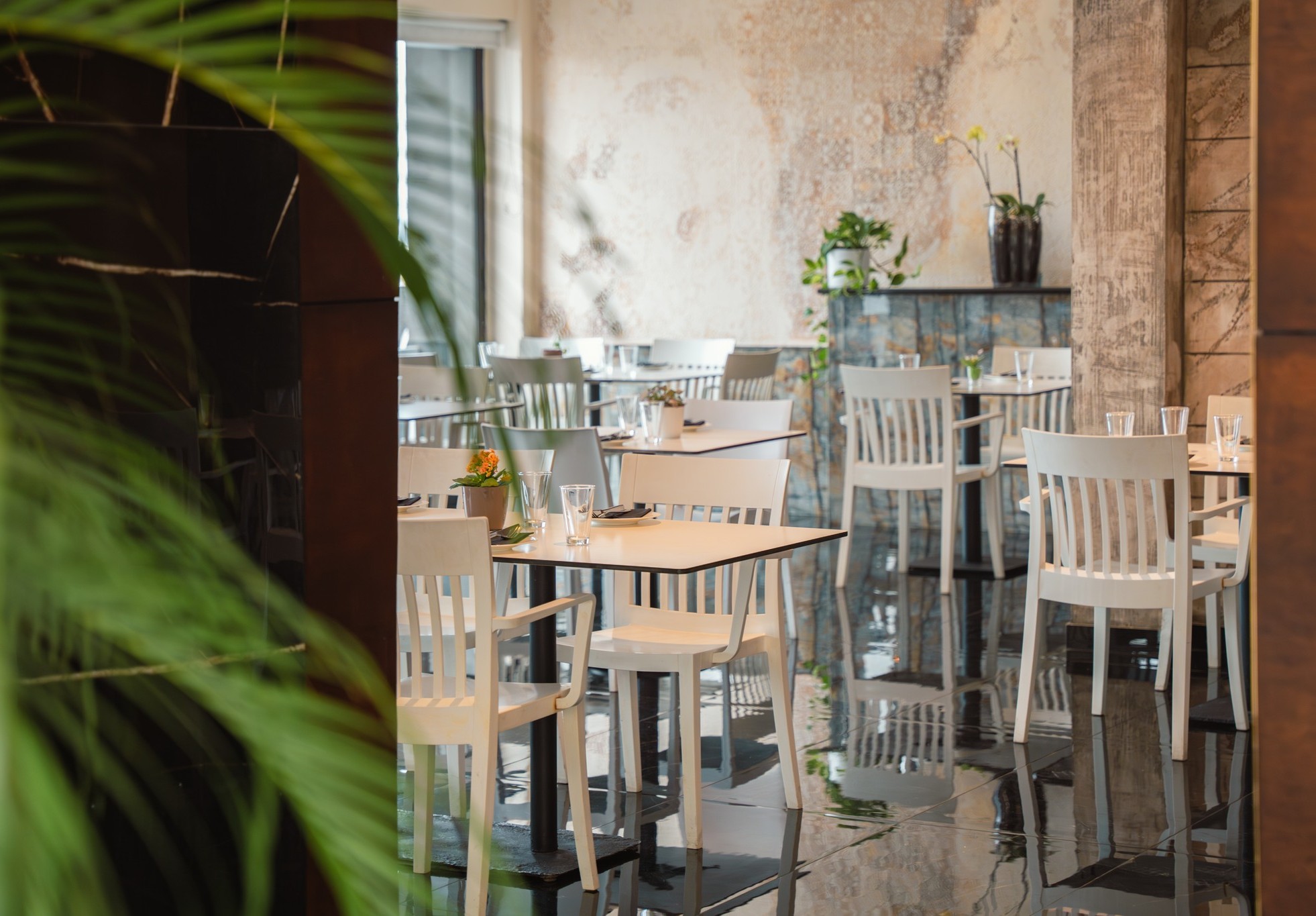 The Osteria photo 5